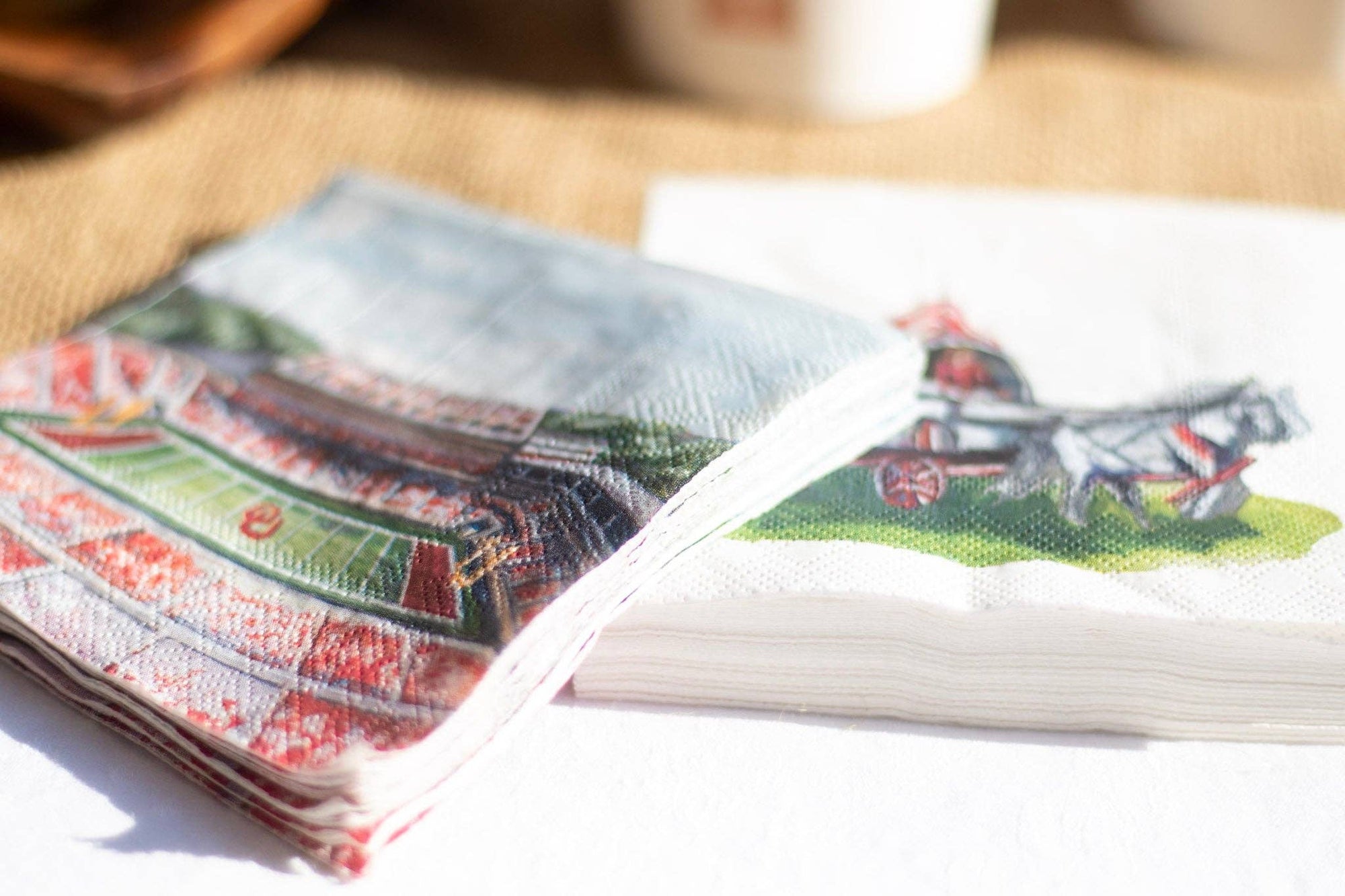 Oklahoma, University of Gaylord Stadium Napkin Set